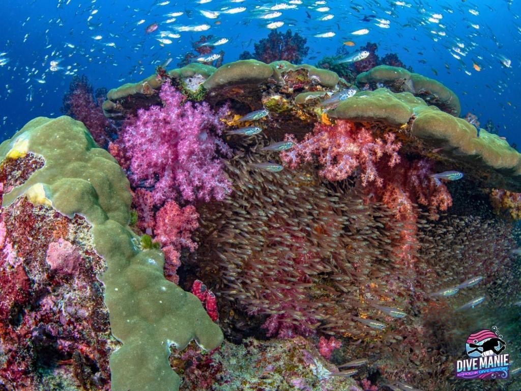 Khaolak Dive Resort Као Лак Екстериор снимка