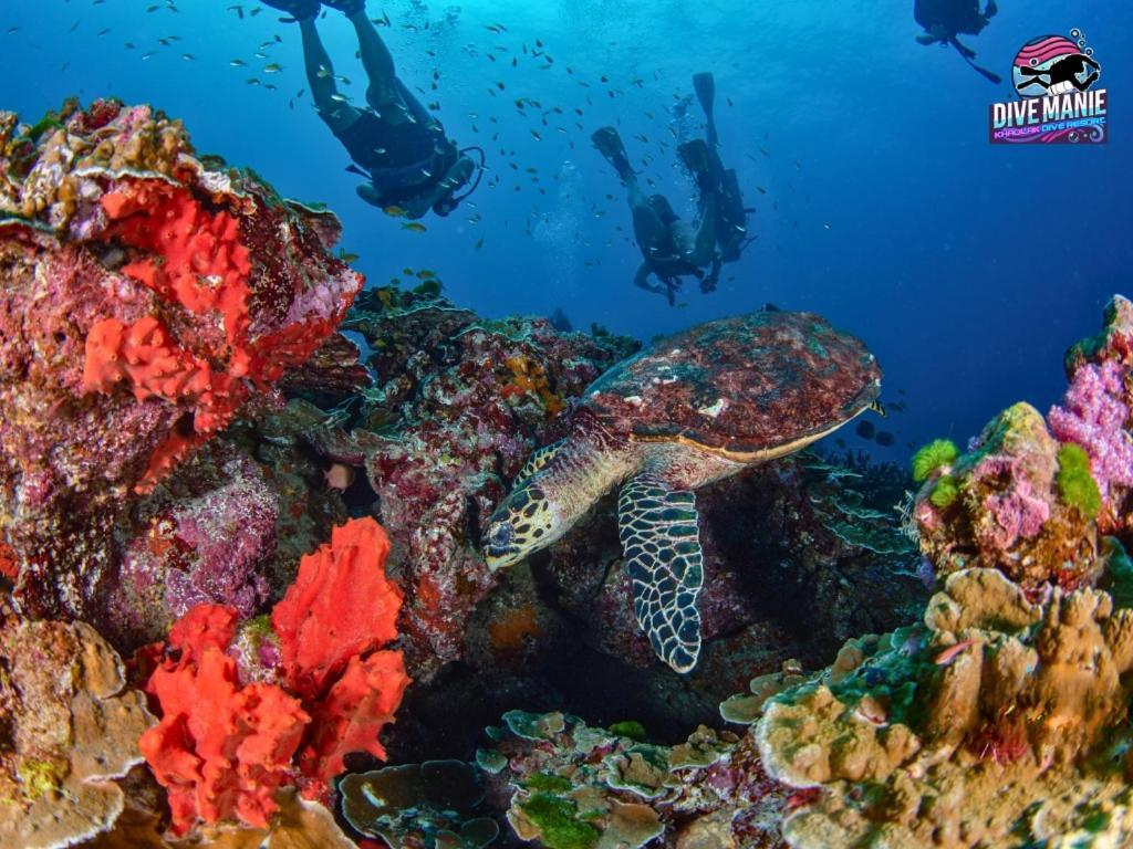 Khaolak Dive Resort Као Лак Екстериор снимка