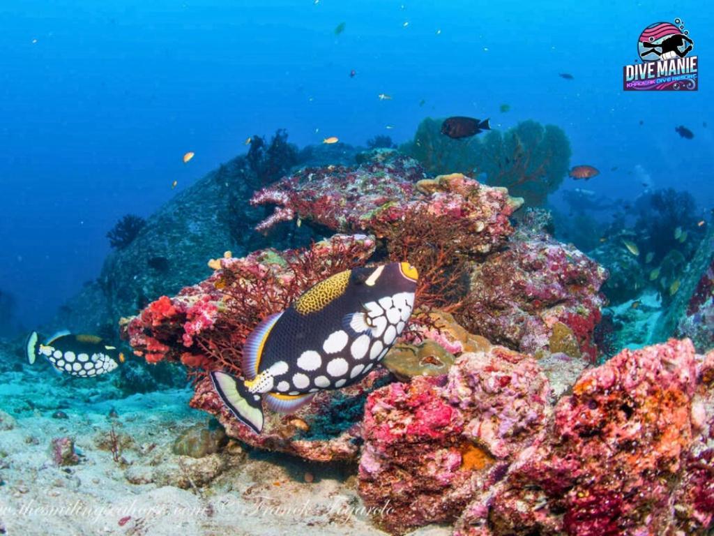 Khaolak Dive Resort Као Лак Екстериор снимка