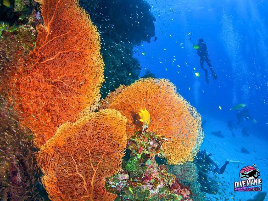 Khaolak Dive Resort Као Лак Екстериор снимка