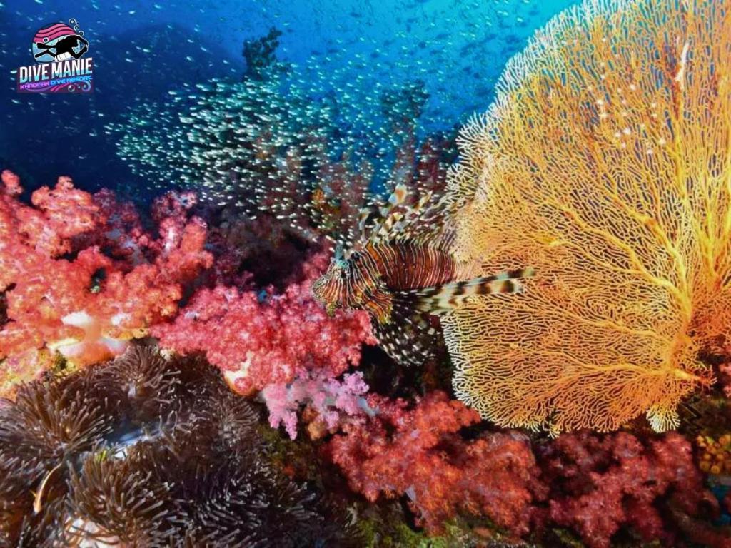 Khaolak Dive Resort Као Лак Екстериор снимка